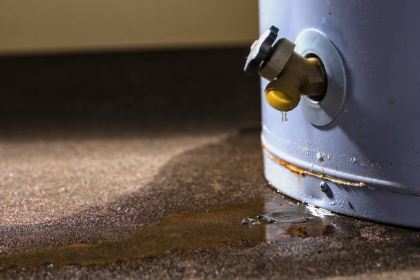 Best Flood damage cleanup  in Pierre, SD