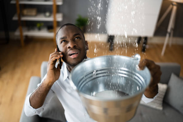Best Water damage cleanup near me  in Pierre, SD