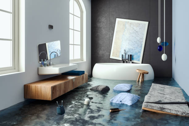 Best Sewage cleanup and water damage restoration  in Pierre, SD