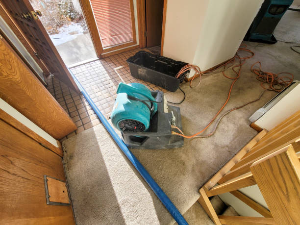 Best Water damage restoration near me  in Pierre, SD