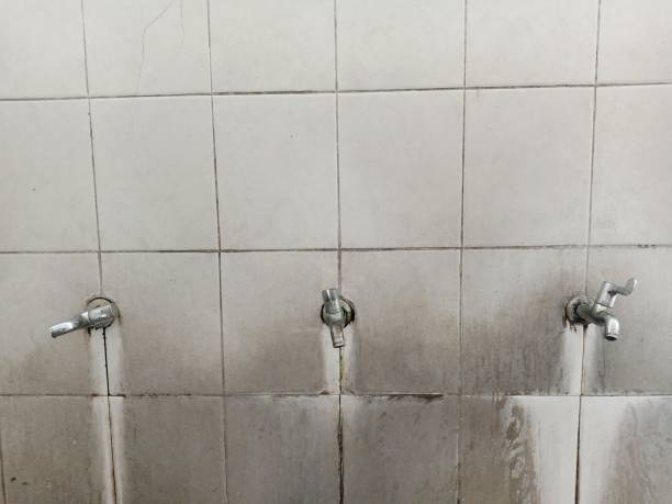 Best Emergency water extraction  in Pierre, SD
