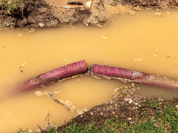 Best Flood restoration services  in Pierre, SD