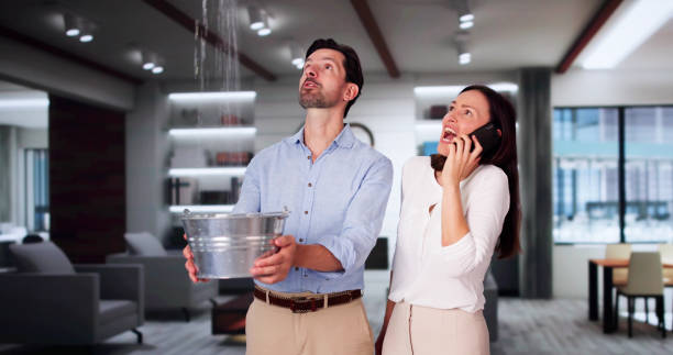 Best 24/7 water damage repair  in Pierre, SD
